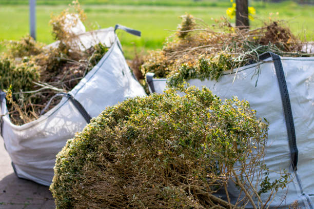 Best Office Junk Removal  in Slayton, MN